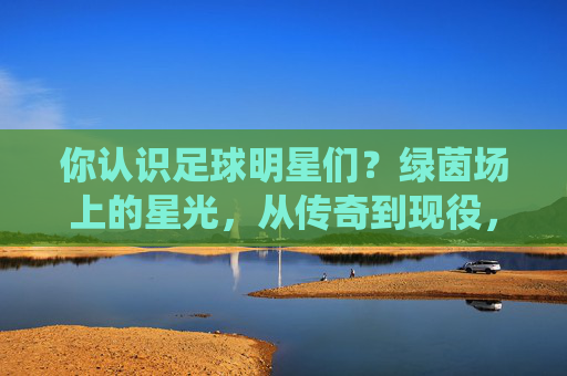 你认识足球明星们？绿茵场上的星光，从传奇到现役，这些足球巨星的传奇与魅力等你探索