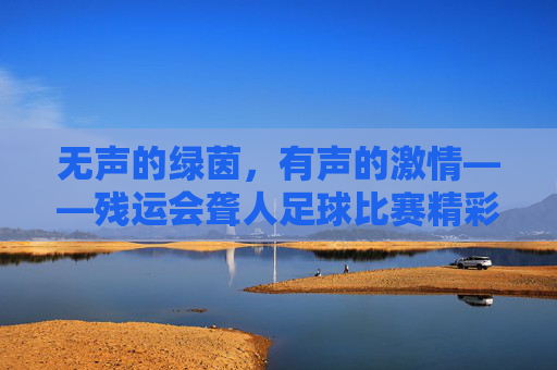 无声的绿茵，有声的激情——残运会聋人足球比赛精彩回顾，无声的绿茵，有声的激情——残运会聋人足球比赛精彩回顾