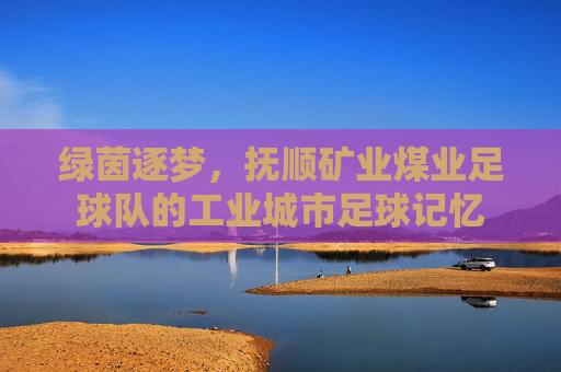 绿茵逐梦，抚顺矿业煤业足球队的工业城市足球记忆
