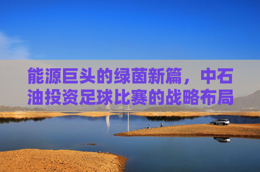 能源巨头的绿茵新篇，中石油投资足球比赛的战略布局与多维影响，能源巨头的绿茵新篇，中石油投资足球比赛的战略布局与多维影响