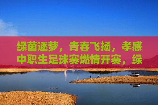 绿茵逐梦,青春飞扬,孝感中职生足球赛燃情开赛,绿茵逐梦,青春飞扬,孝感中职生足球赛燃情开赛