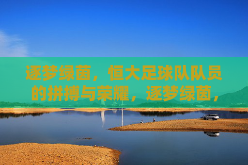 逐梦绿茵，恒大足球队队员的拼搏与荣耀，逐梦绿茵，恒大足球队队员的拼搏与荣耀
