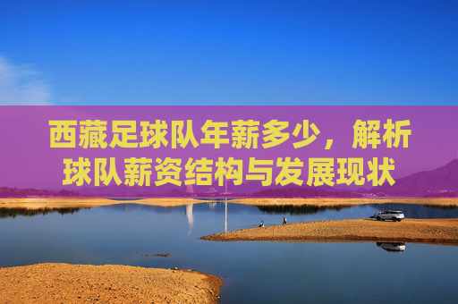 西藏足球队年薪多少,解析球队薪资结构与发展现状