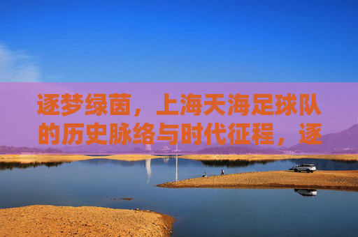 逐梦绿茵，上海天海足球队的历史脉络与时代征程，逐梦绿茵，上海天海足球队的历史脉络与时代征程