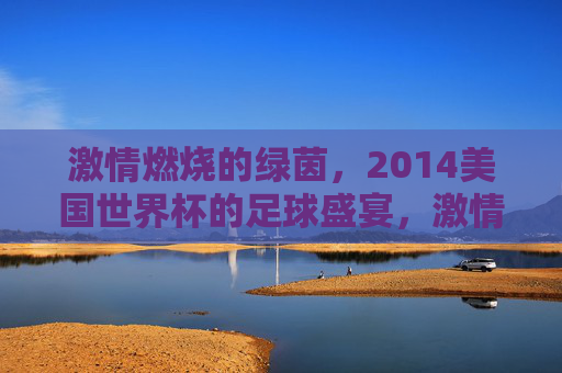 激情燃烧的绿茵，2014美国世界杯的足球盛宴，激情燃烧的绿茵，2014美国世界杯的足球盛宴