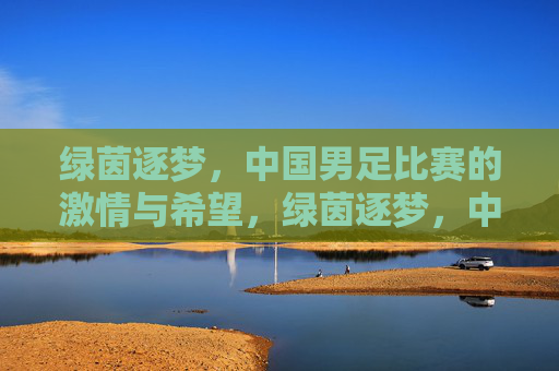 绿茵逐梦，中国男足比赛的激情与希望，绿茵逐梦，中国男足比赛的激情与希望