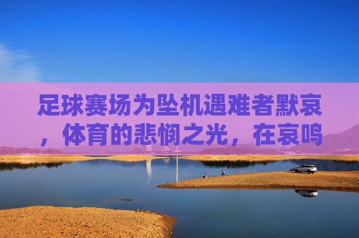 足球赛场为坠机遇难者默哀，体育的悲悯之光，在哀鸣中照亮人类共情，足球赛场为坠机遇难者默哀，体育悲悯之光，在哀鸣中照亮人类共情