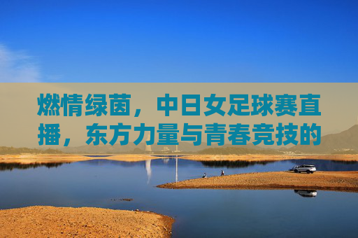 燃情绿茵，中日女足球赛直播，东方力量与青春竞技的激情碰撞