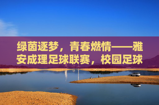 绿茵逐梦,青春燃情——雅安成理足球联赛,校园足球的活力引擎与精神传承