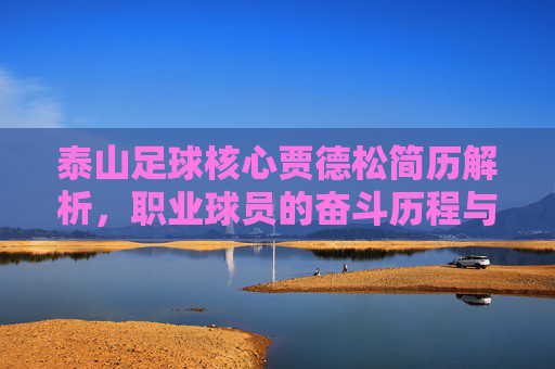 泰山足球核心贾德松简历解析,职业球员的奋斗历程与赛场贡献