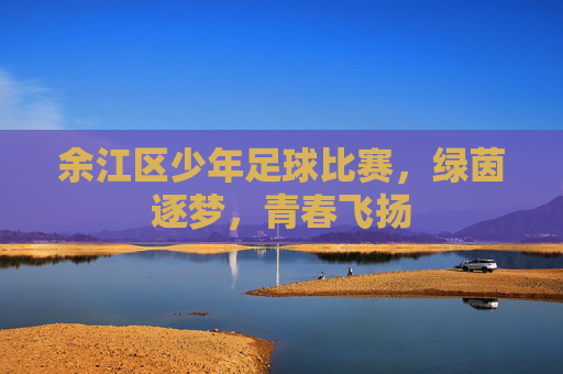 余江区少年足球比赛，绿茵逐梦，青春飞扬