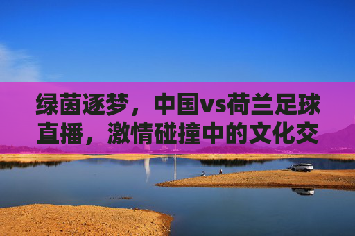 绿茵逐梦,中国vs荷兰足球直播,激情碰撞中的文化交融与竞技魅力,绿茵逐梦,中国vs荷兰足球直播,激情碰撞中的文化交融与竞技魅力