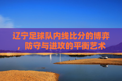 辽宁足球队内线比分的博弈,防守与进攻的平衡艺术