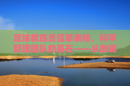 足球教练员信息表格，科学管理团队的基石——从数据驱动到精准决策