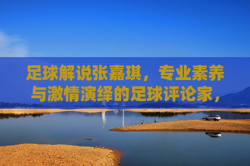 足球解说张嘉琪，专业素养与激情演绎的足球评论家，足球解说张嘉琪，专业素养与激情演绎的足球评论家