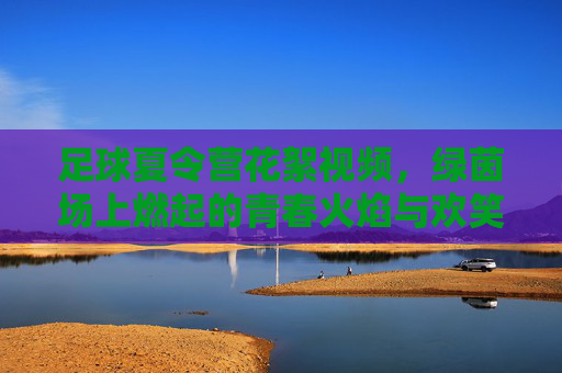 足球夏令营花絮视频，绿茵场上燃起的青春火焰与欢笑
