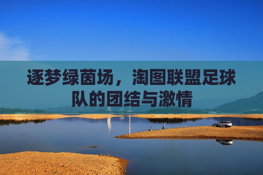 逐梦绿茵场，淘图联盟足球队的团结与激情