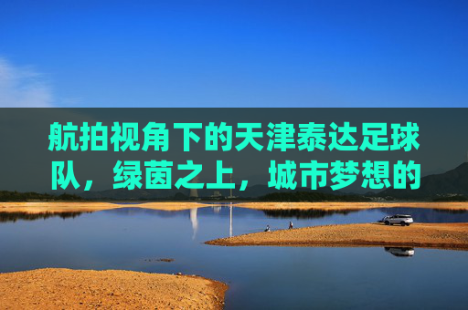 航拍视角下的天津泰达足球队，绿茵之上，城市梦想的空中画卷