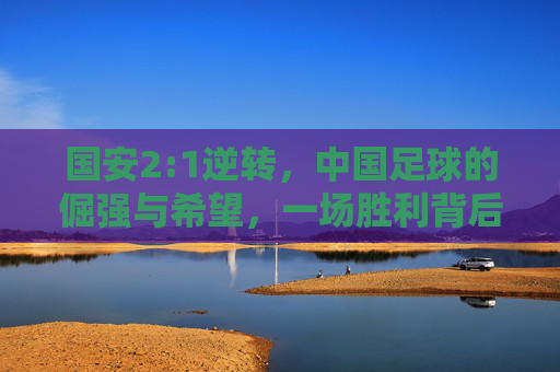 国安2:1逆转，中国足球的倔强与希望，一场胜利背后的深度思考