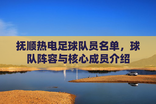 抚顺热电足球队员名单，球队阵容与核心成员介绍