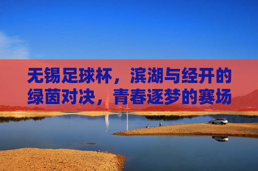 无锡足球杯，滨湖与经开的绿茵对决，青春逐梦的赛场交响，无锡足球杯，滨湖与经开的绿茵对决，青春逐梦的赛场交响