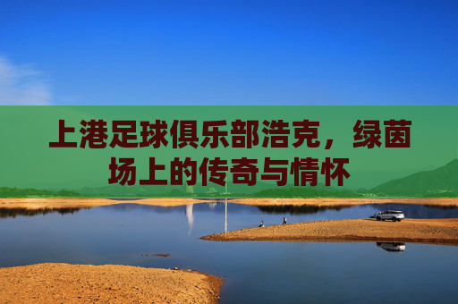 上港足球俱乐部浩克,绿茵场上的传奇与情怀