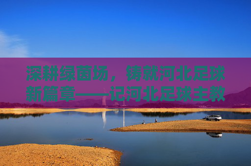 深耕绿茵场，铸就河北足球新篇章——记河北足球主教练赵鹏的执教之路