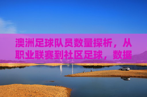 澳洲足球队员数量探析，从职业联赛到社区足球，数据背后的足球生态