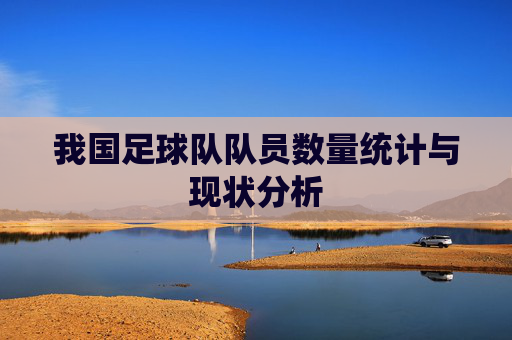 我国足球队队员数量统计与现状分析