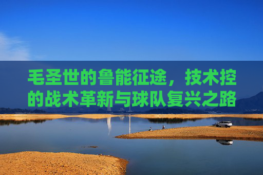 毛圣世的鲁能征途,技术控的战术革新与球队复兴之路