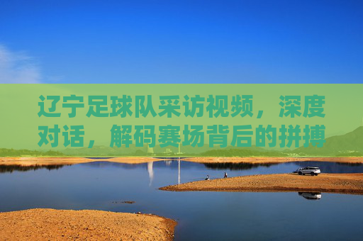 辽宁足球队采访视频，深度对话，解码赛场背后的拼搏与传承