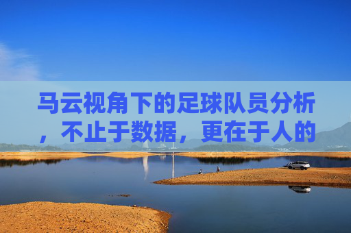 马云视角下的足球队员分析,不止于数据,更在于人的洞察,马云视角下的足球队员分析,不止于数据,更在于人的洞察