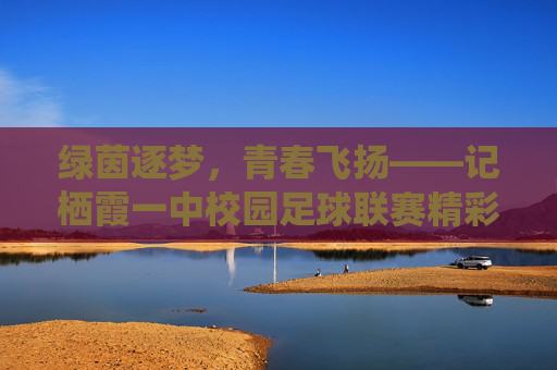 绿茵逐梦，青春飞扬——记栖霞一中校园足球联赛精彩纪实