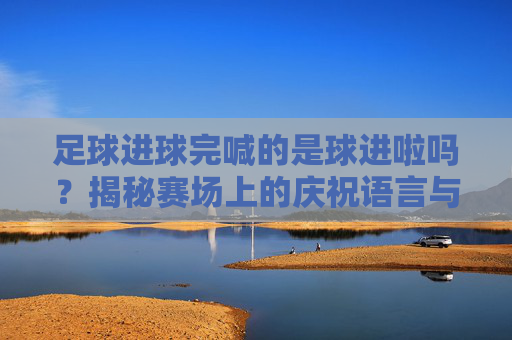 足球进球完喊的是球进啦吗?揭秘赛场上的庆祝语言与情感表达