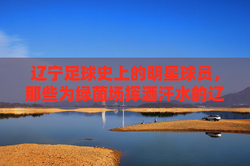 辽宁足球史上的明星球员,那些为绿茵场挥洒汗水的辽足传奇