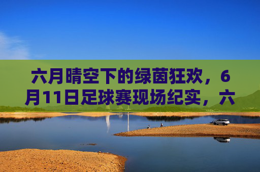 六月晴空下的绿茵狂欢，6月11日足球赛现场纪实，六月晴空下的绿茵狂欢，6月11日足球赛现场纪实