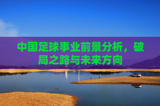 中国足球事业前景分析，破局之路与未来方向