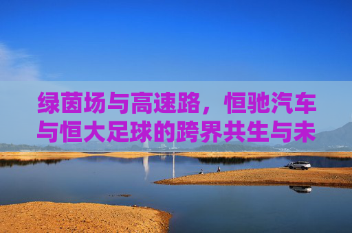 绿茵场与高速路，恒驰汽车与恒大足球的跨界共生与未来图景