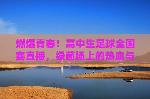 燃爆青春！高中生足球全国赛直播，绿茵场上的热血与梦想，燃爆青春！高中生足球全国赛直播，绿茵场上的热血与梦想