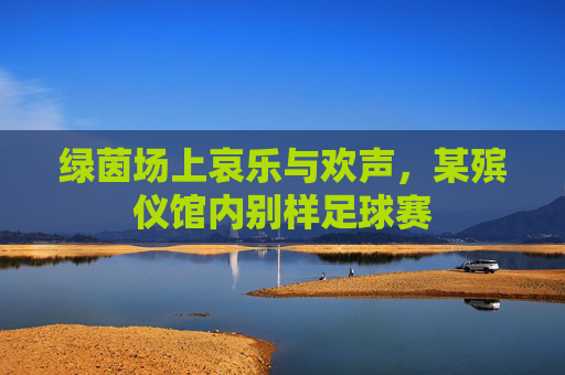 绿茵场上哀乐与欢声,某殡仪馆内别样足球赛