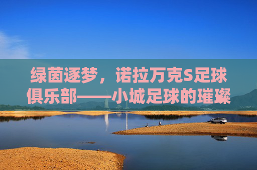 绿茵逐梦，诺拉万克S足球俱乐部——小城足球的璀璨星辰与时代脉搏