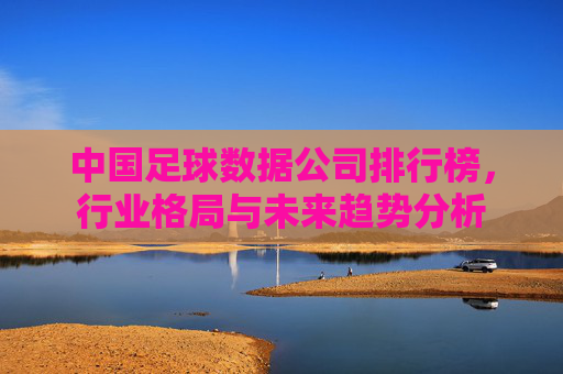 中国足球数据公司排行榜,行业格局与未来趋势分析