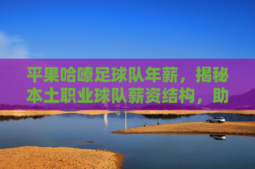 平果哈嘹足球队年薪，揭秘本土职业球队薪资结构，助力广西足球职业化进程