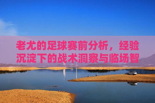 老尤的足球赛前分析，经验沉淀下的战术洞察与临场智慧
