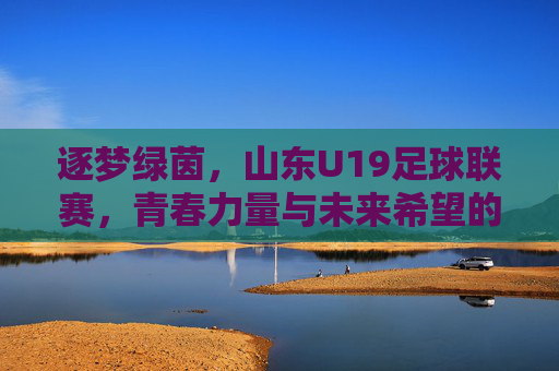 逐梦绿茵，山东U19足球联赛，青春力量与未来希望的碰撞