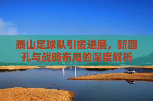 泰山足球队引援进展，新面孔与战略布局的深度解析