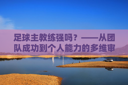 足球主教练强吗？——从团队成功到个人能力的多维审视