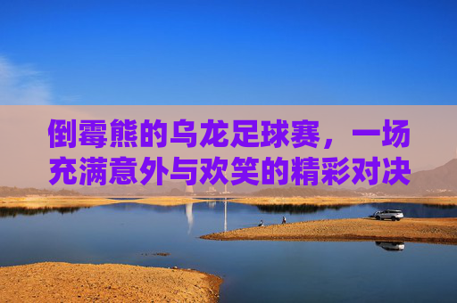 倒霉熊的乌龙足球赛,一场充满意外与欢笑的精彩对决
