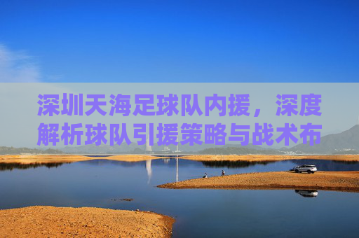 深圳天海足球队内援，深度解析球队引援策略与战术布局，深圳天海足球队内援深度解析，引援策略与战术布局剖析