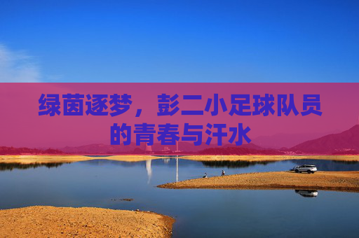 绿茵逐梦，彭二小足球队员的青春与汗水